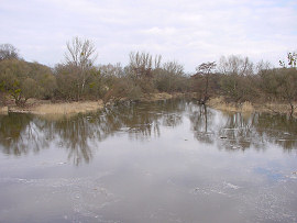 Alte Fähre - Blick von der Brücke