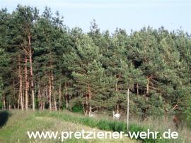 Plötzky Alte Ziegelei / Haberlandbrücke <br><font size=-2>Foto: S. Borrmann FFW Möckern</font>